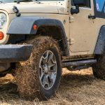 Rural Real Estate: Trends Driving Country Living Popularity