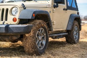 Rural Real Estate: Trends Driving Country Living Popularity
