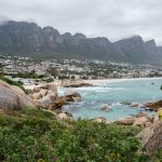 Wildlife Photography Holidays for Beginners