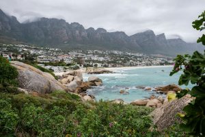 Wildlife Photography Holidays for Beginners