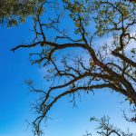 Sensors detecting air quality and environmental changes