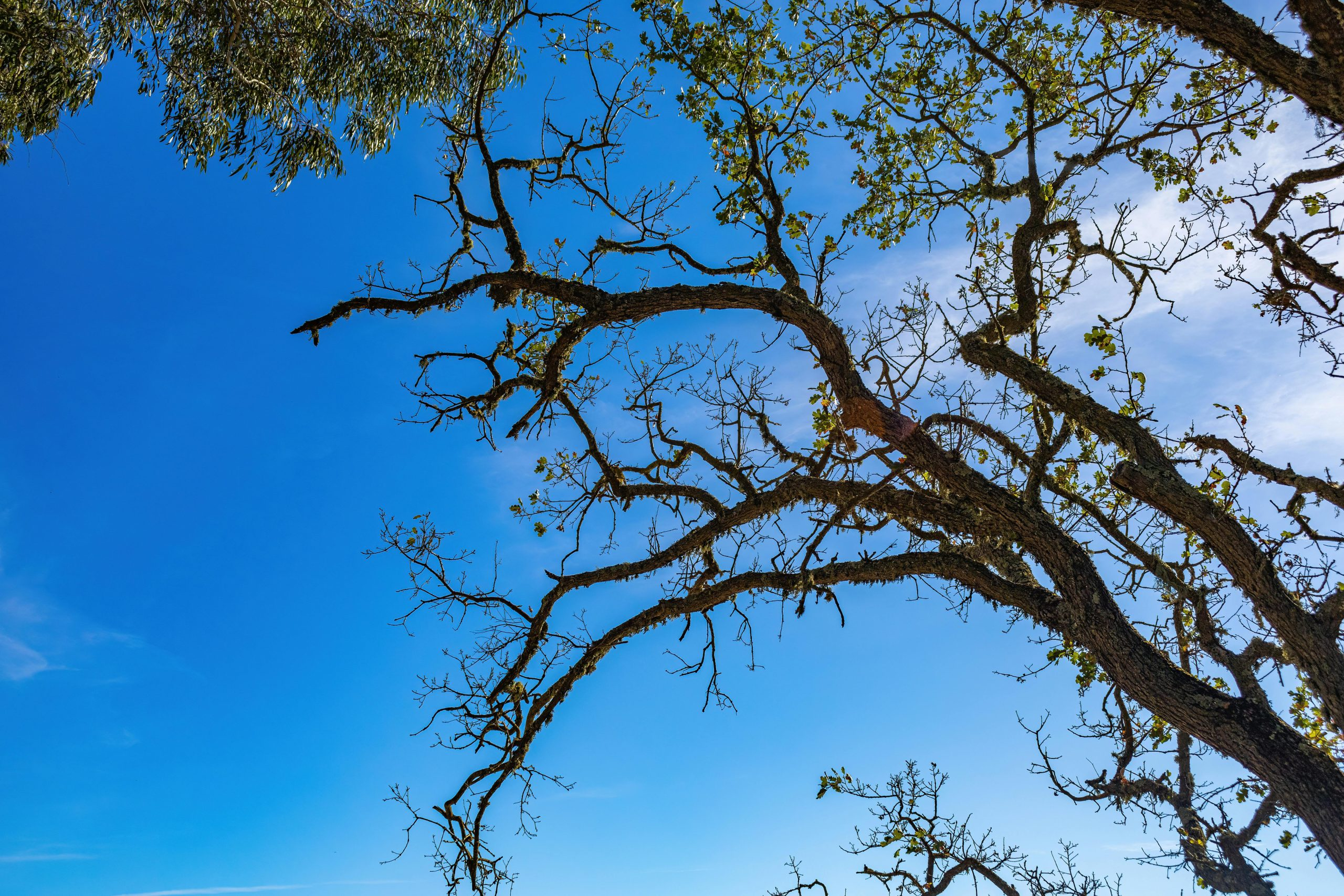 Sensors detecting air quality and environmental changes