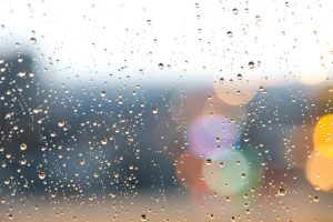 Sprinklers adjusting watering schedules to the weather