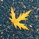 Outdoor Wedding Looks for Every Season