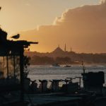 Rediscovering Cruise Travel for a New Generation