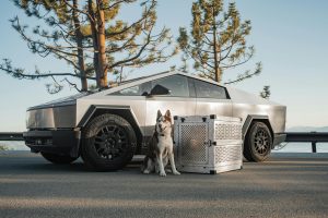 How Sensor Technology Is Preventing Road Accidents Nationwide