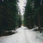 Adventures in Volcanic Landscapes Unspoiled by Tourists