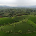 Preparing Students for the Green Economy