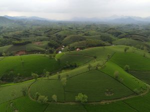 Preparing Students for the Green Economy