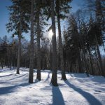 Blinds adjusting based on sunlight and temperature