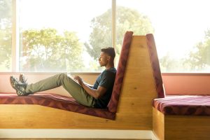How Social-Emotional Learning Shapes Academic Success