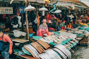 Festival Fashion: Outfits for Every Vibe