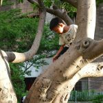 Outdoor Learning: Nature as an Extension of the Classroom