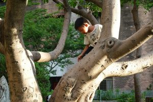 Outdoor Learning: Nature as an Extension of the Classroom