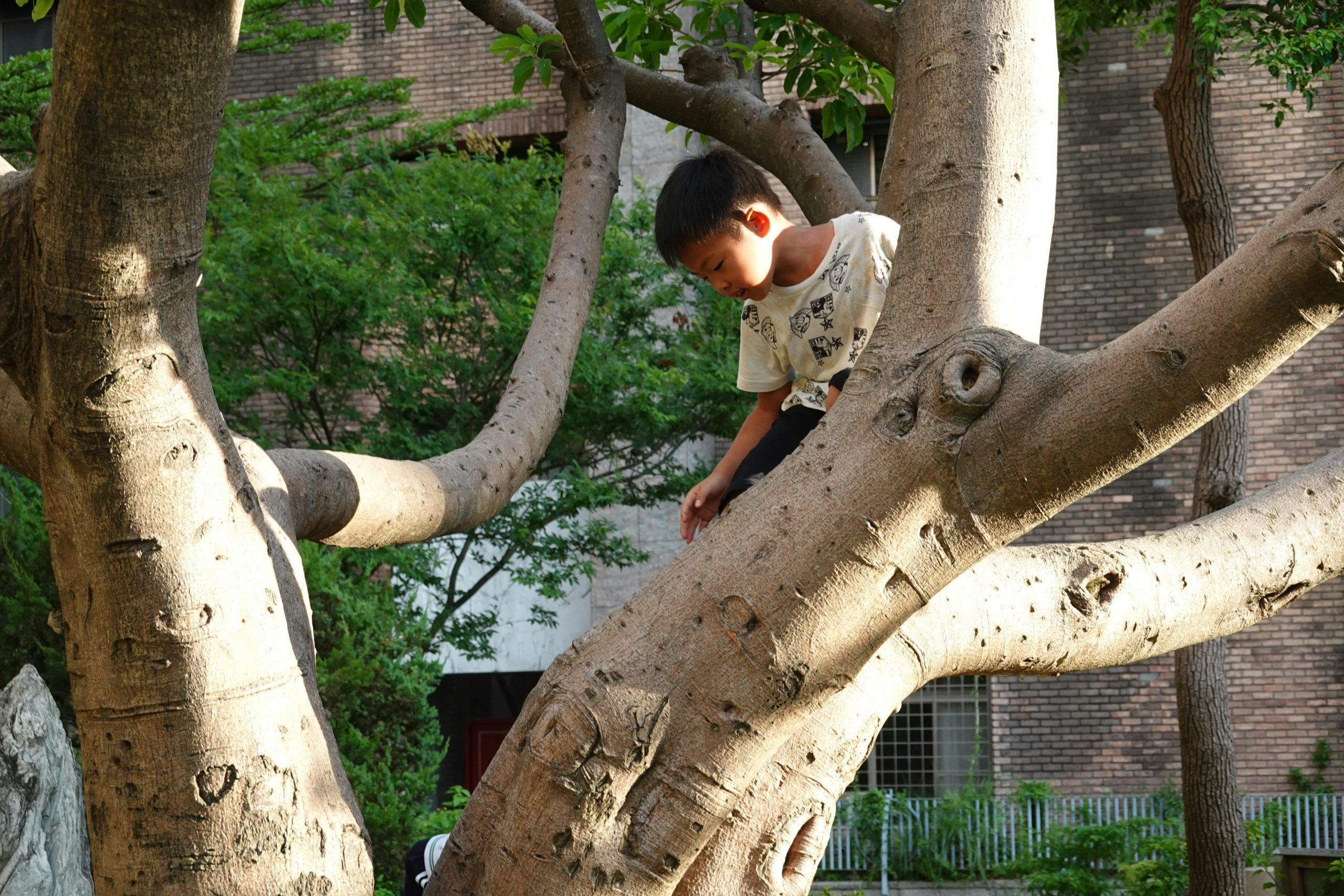 Outdoor Learning: Nature as an Extension of the Classroom